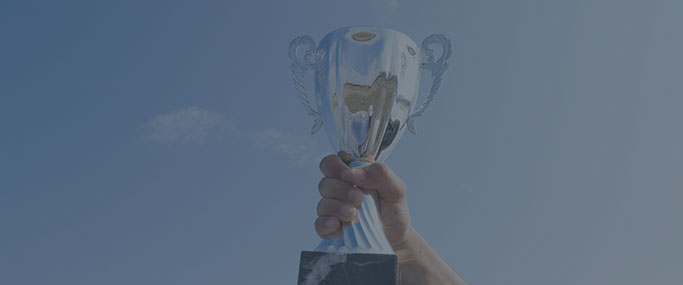 维多利亚老品牌vic(集团)官方网站